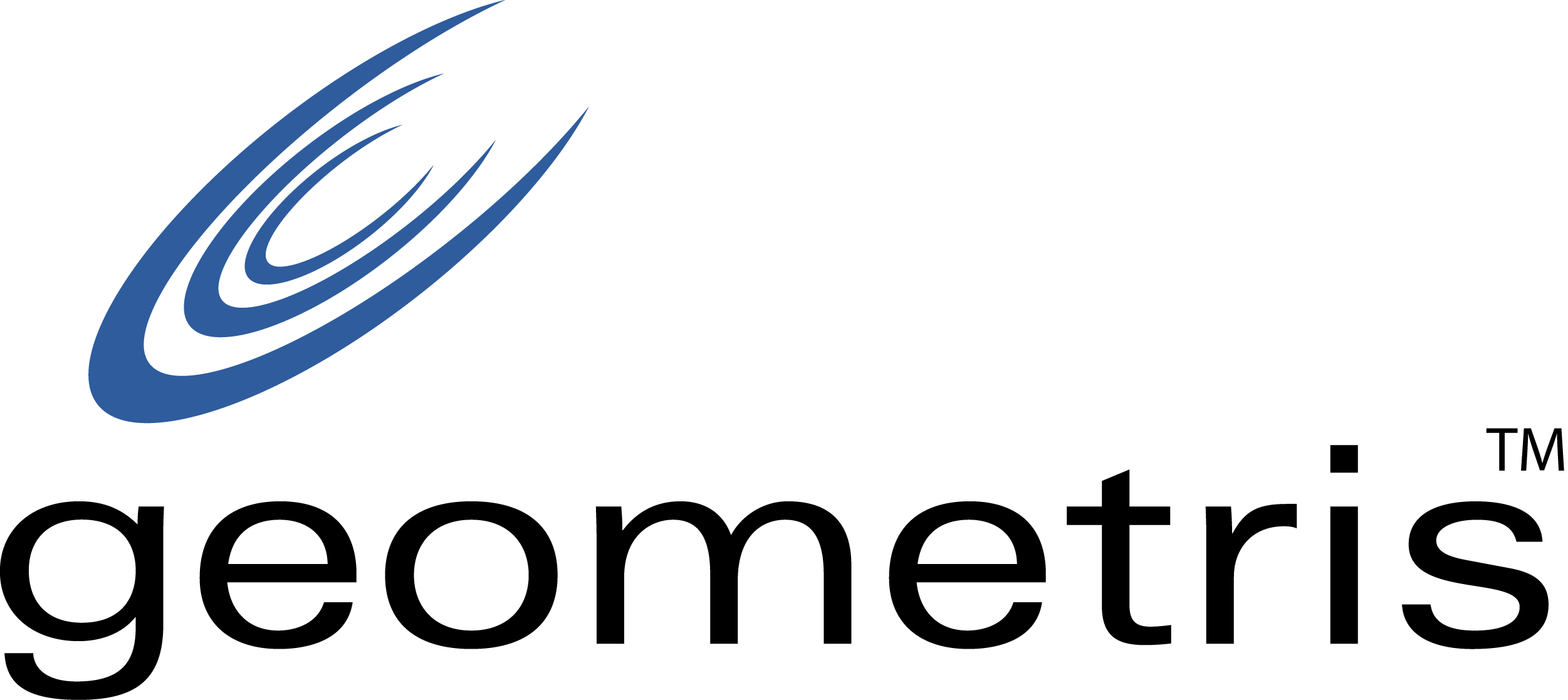 Geometris company logo